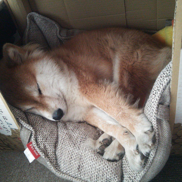 fb体育中国官网-国米取胜卫冕冠军，吹响冲冠号角，国米夺冠之路