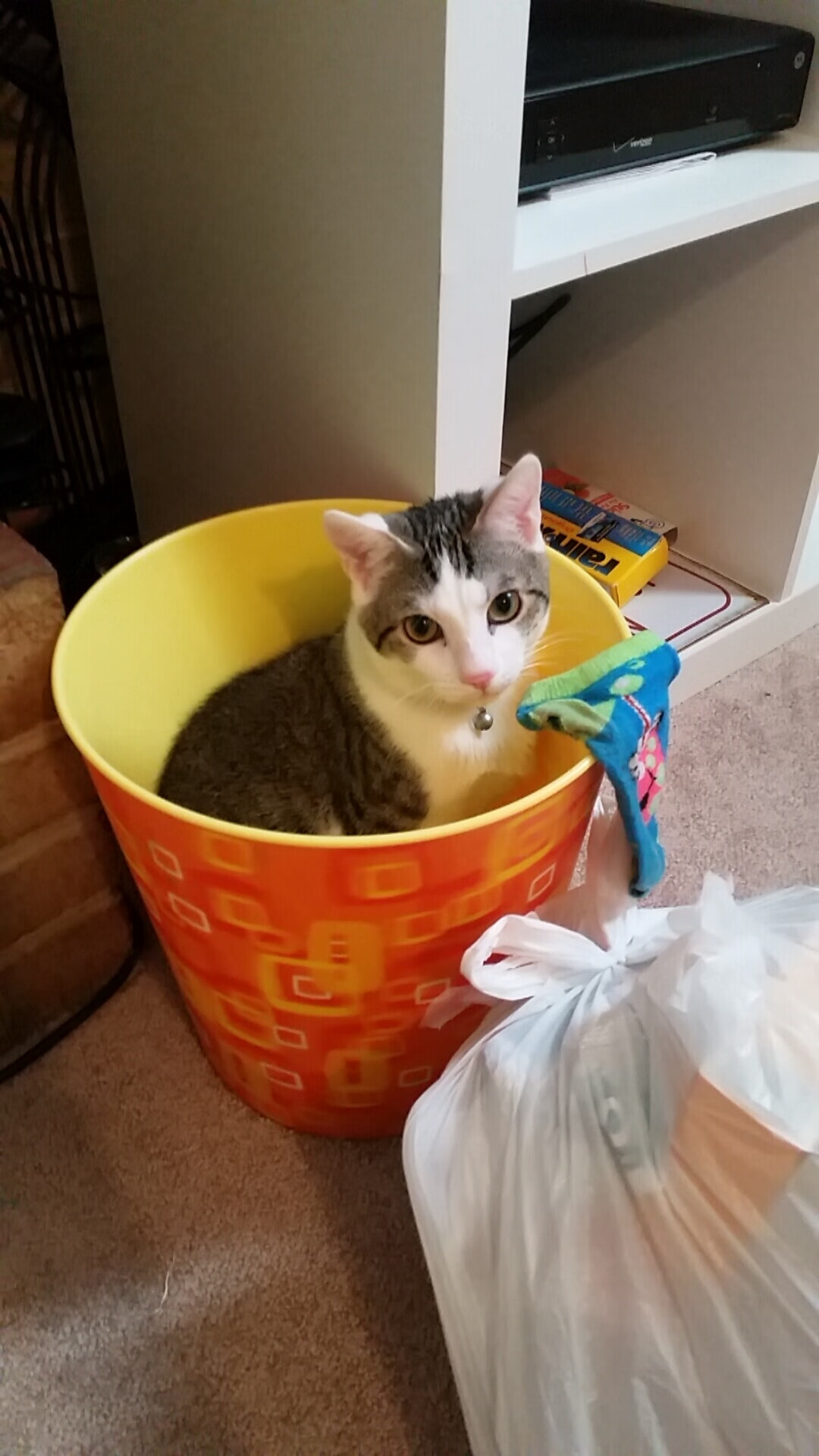 fb体育官网-体育直播平台青少年保护机制及政策建议，青少年网络保护系列活动直播平台