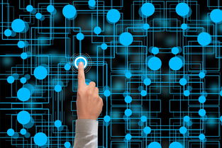 fb sports官网-冬奥会遗产利用与社会价值实现研究，冬奥会遗产战略计划