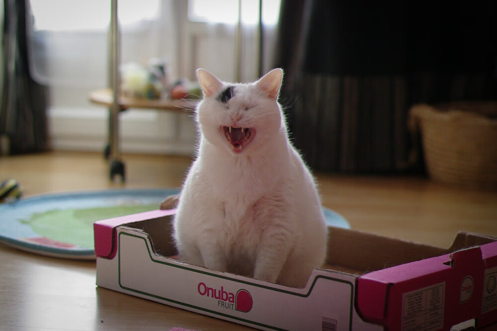 fb体育官网入口-巴黎圣日耳曼吸引全球关注度创新高，巴黎圣日耳曼全员合照