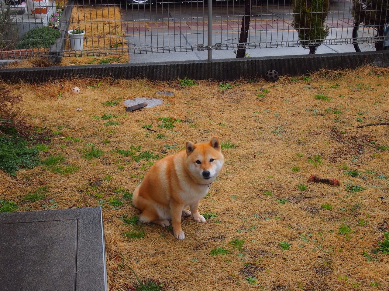 fb体育赛事平台-球员数据化管理推动科学训练升级，球员数据分析