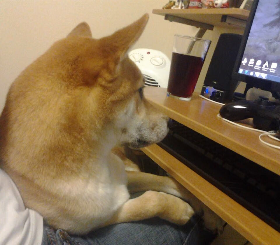 fb体育中国官网-辽宁飞豹多名球员进入最佳阵容候选名单，辽宁飞豹队员集体照