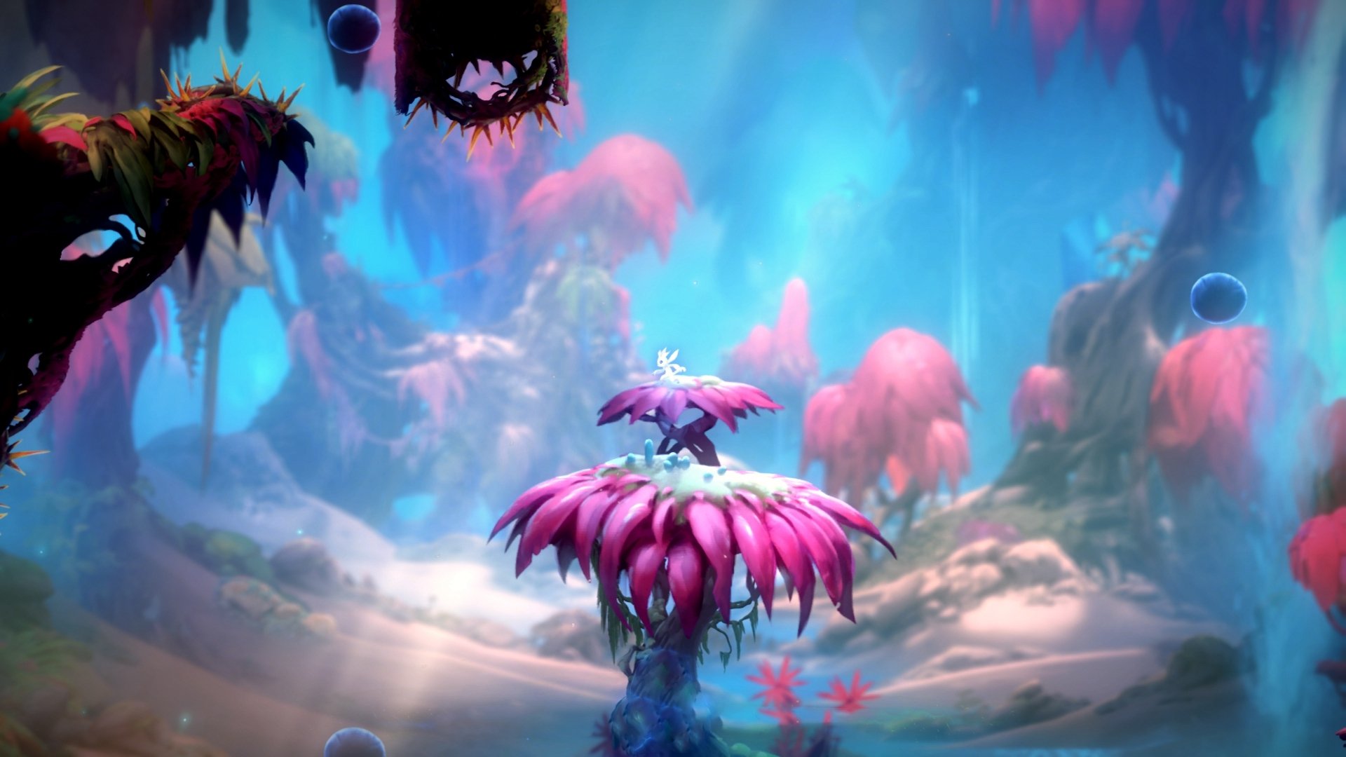 女篮老将坚持出战为队伍稳定发挥贡献宝贵经验力量,女篮名将